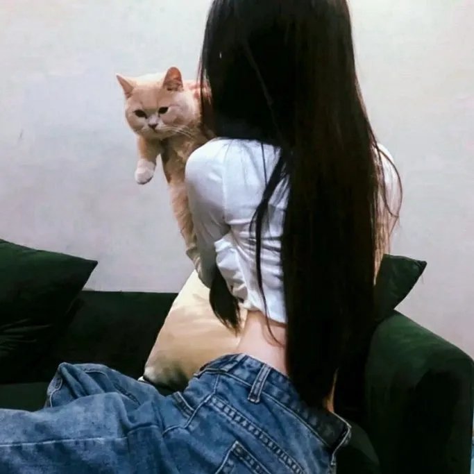 迷宫夺美